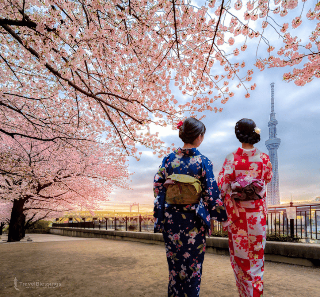 Traditional kimono experience in Asakusa with cherry blossoms